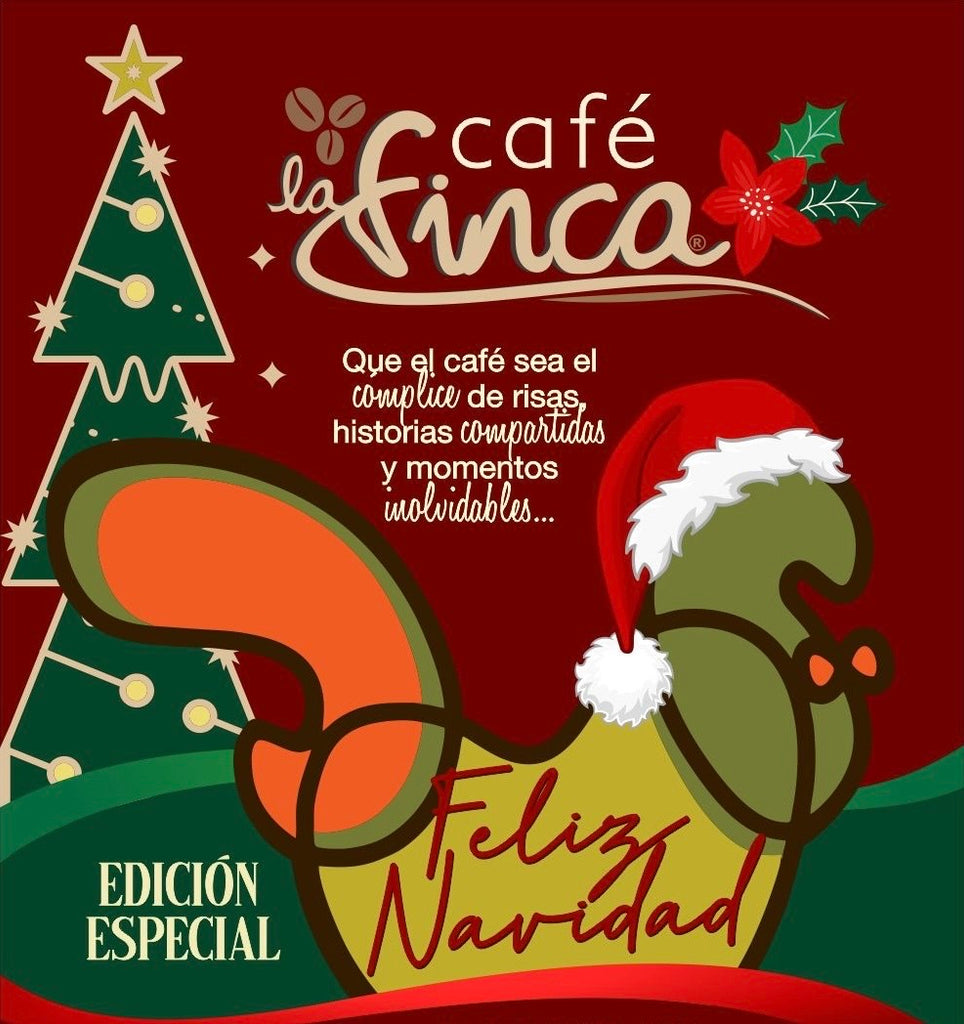 BUNDLE NAVIDEÑO