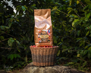 CAFÉ LA FINCA PREMIUM ( 5lbs.)