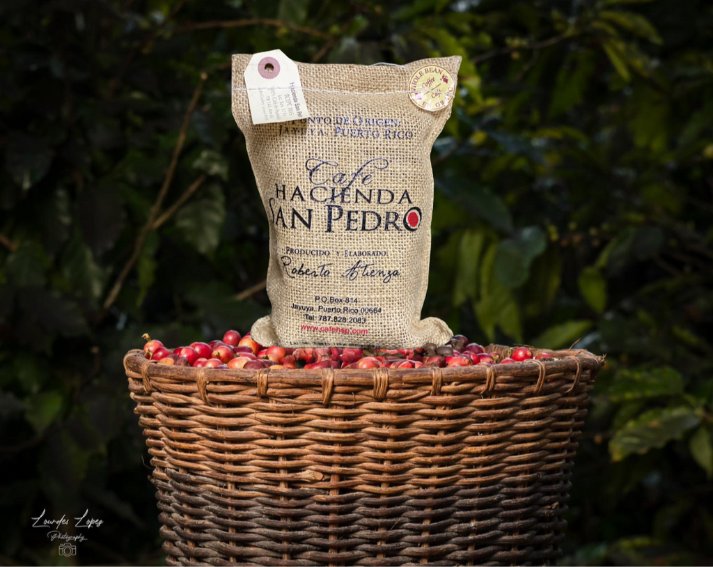 CAFE ESPECIAL HACIENDA SAN PEDRO 10oz GRANO
